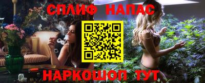 стаф Новозыбков