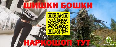 стаф Новозыбков