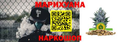 стаф Новозыбков