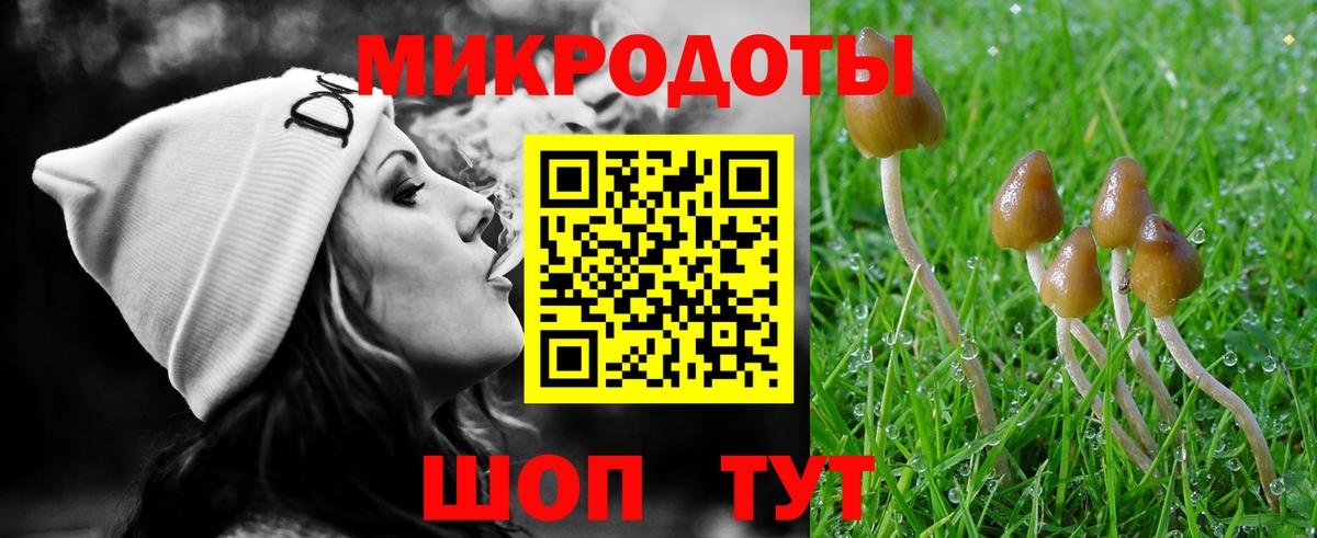 Псилоцибиновые грибы мицелий  Вход с VPN  Сосновоборск 
