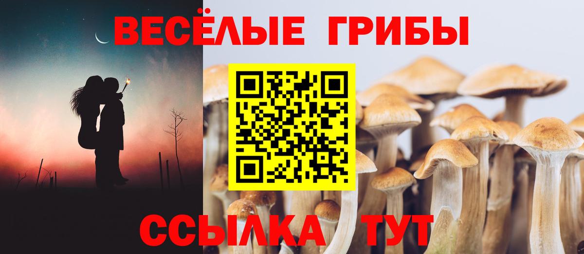 Псилоцибиновые грибы MAGIC MUSHROOMS Сосновоборск